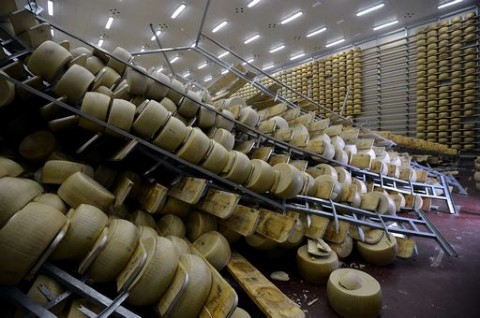 terremoto-emilia-parmigiano-terremotato