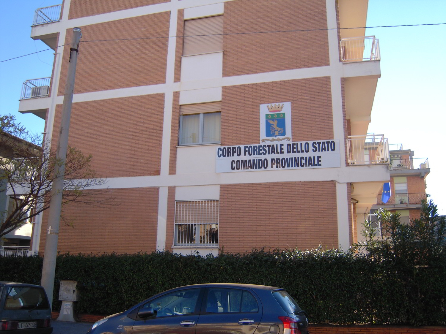 comando forestale-86867