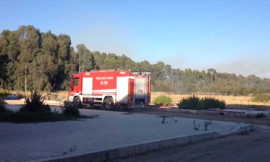 incendio-vigili-fuoco-latina-4584313