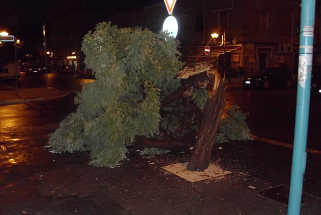 maltempo-albero-spezzato-latina-48776522
