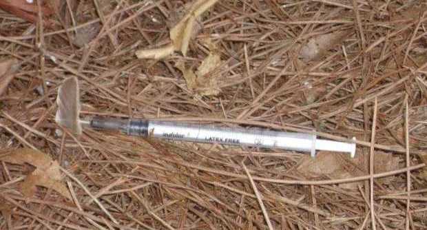 siringa-latina-parco-centro-vaccinazioni-7567228