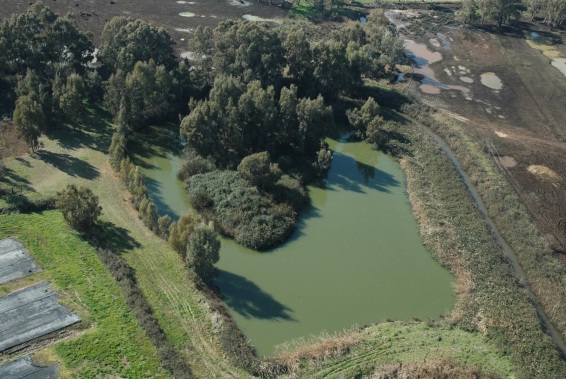 parco nazionale circeo 2