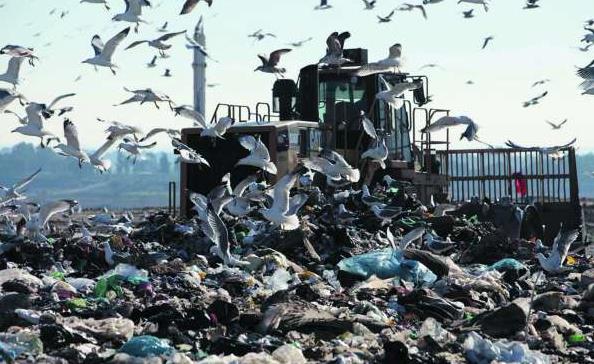 discarica-latina24ore-67908322