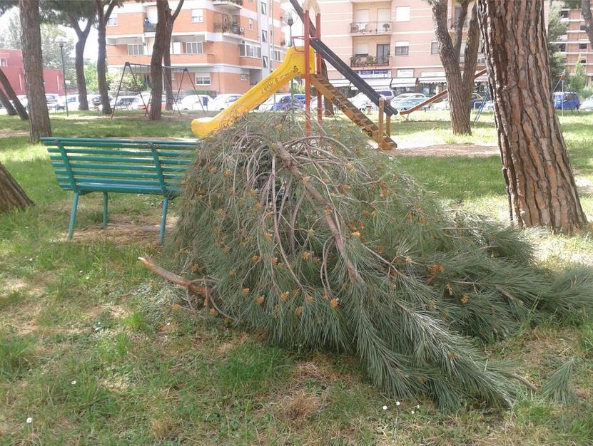 piazza-moro-alberi-rami-caduti-latina24ore-57689337