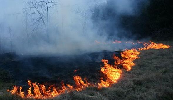 sterpaglie-fuoco-incendio-latina24ore-776300