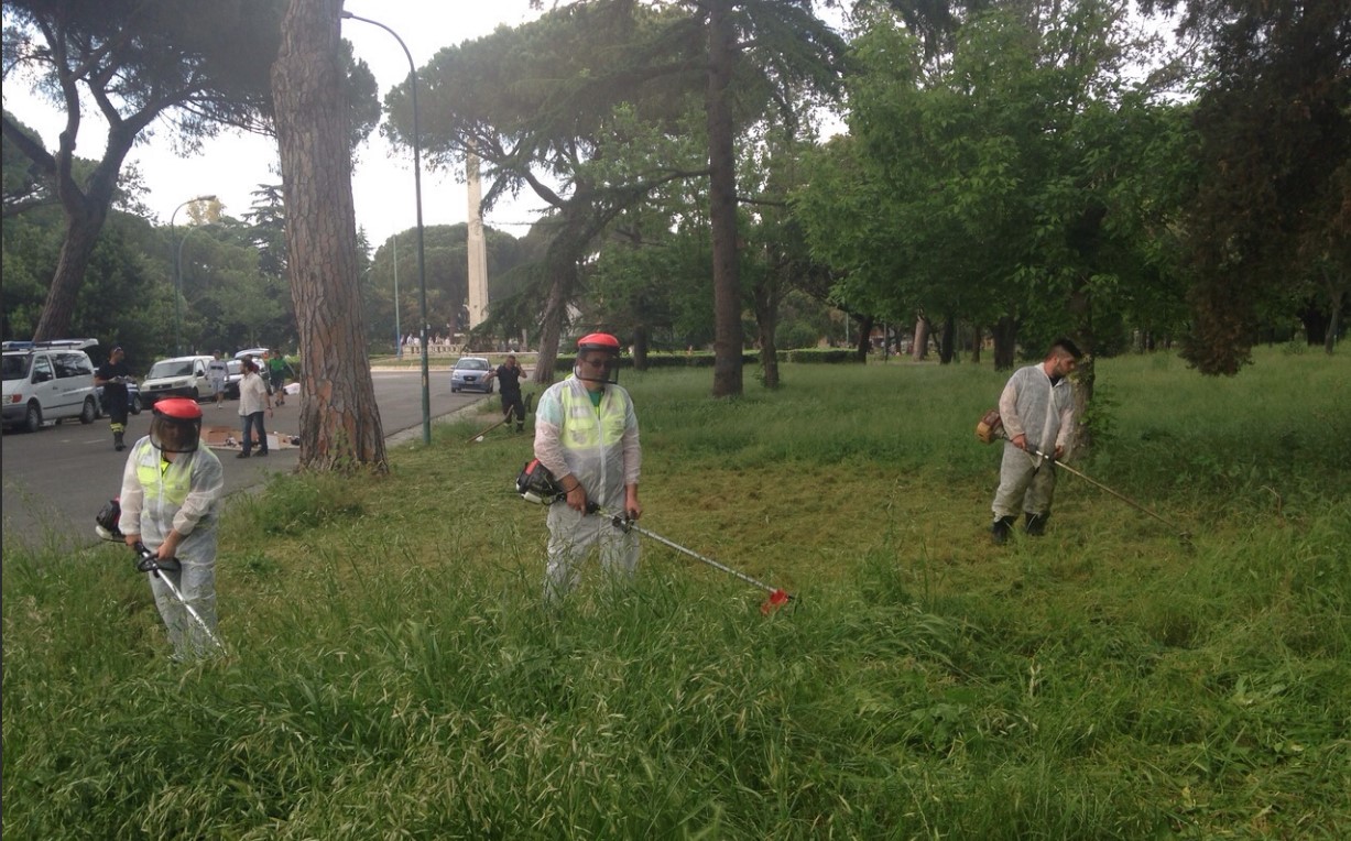 erba-alta-latina-giardini